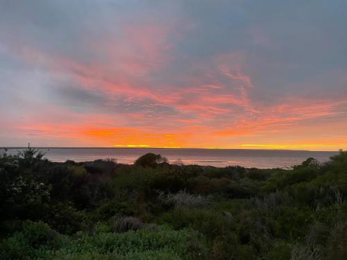 Penguin Point Beach 