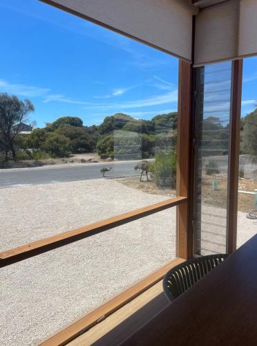 Emu's outside at Alloca Beach Shack